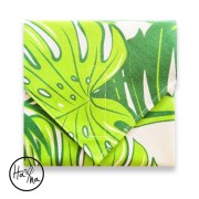 Újraszalvéta - pálma